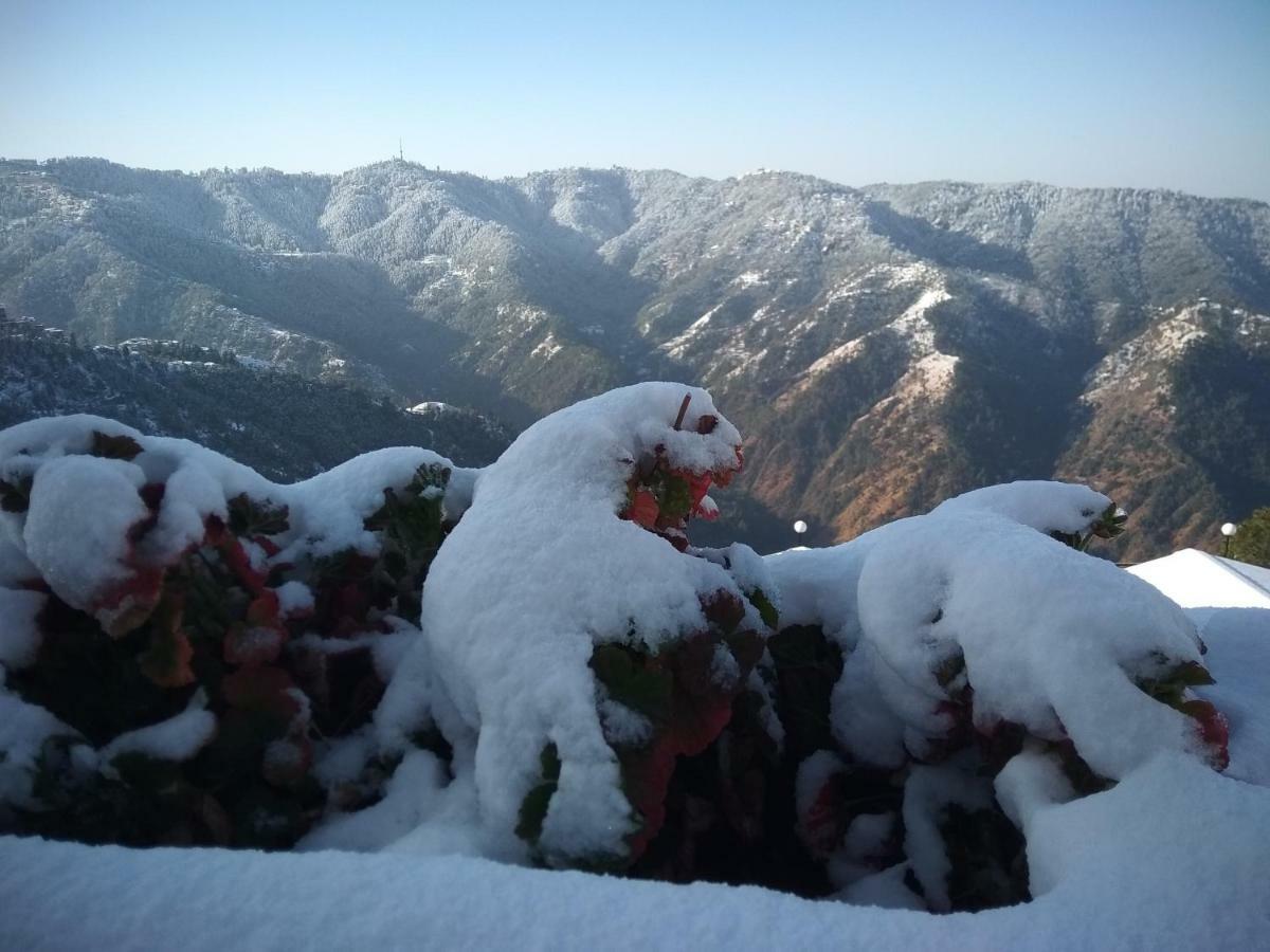 Spangle Heights Shimla, Suites And Residences Eksteriør bilde